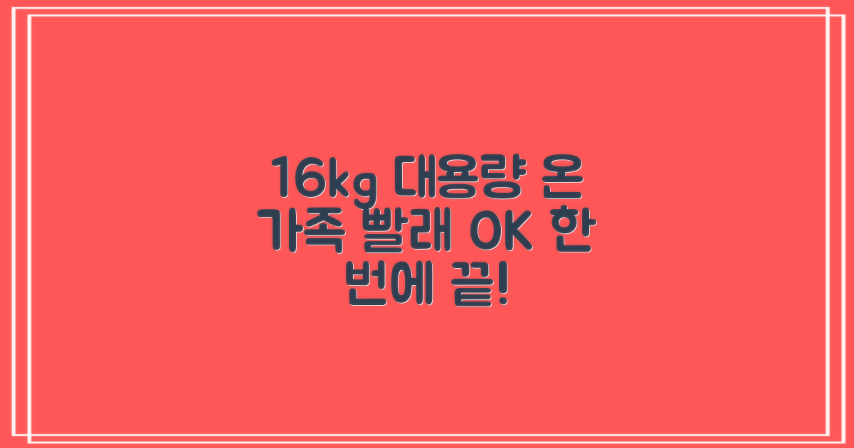 16kg 대용량, 온 가족 빨래 OK