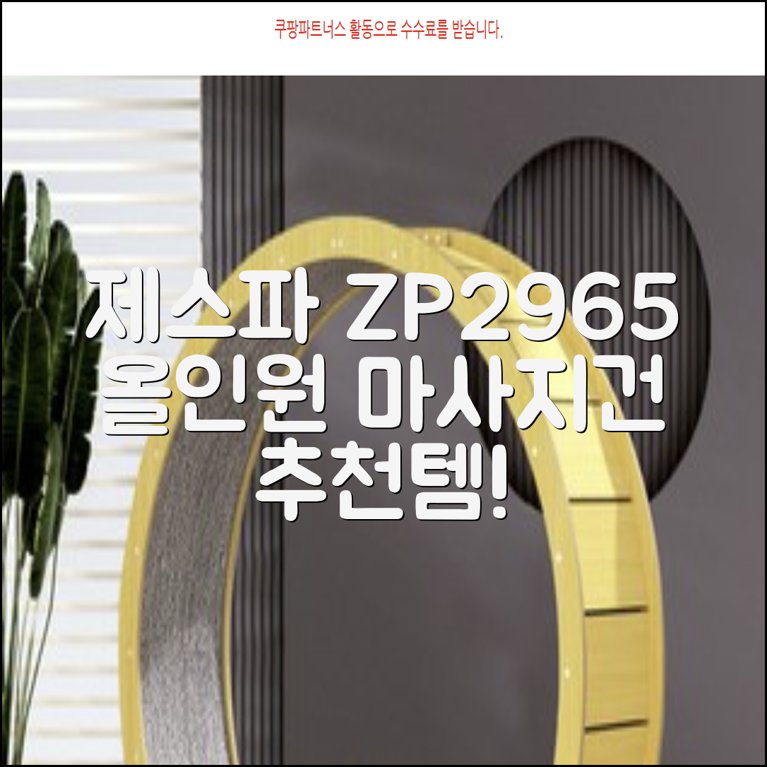 제스파 클래식 전신 무선 자동 마사지건 목어깨 안마기 ZP2965, 블랙 + 로즈골드 추천 리뷰
