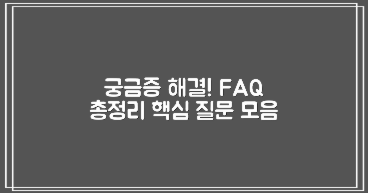 자주 묻는 질문