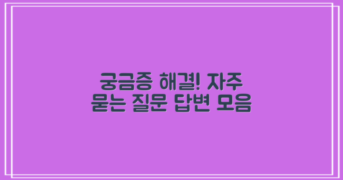 자주 묻는 질문