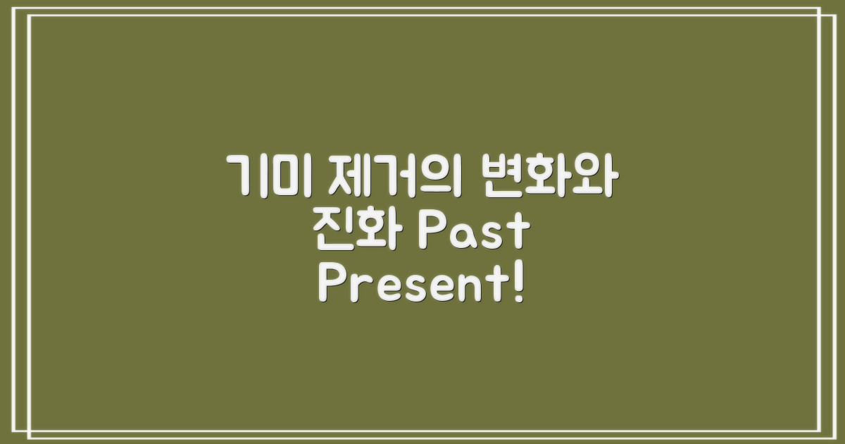 기미 제거의 과거와 현재