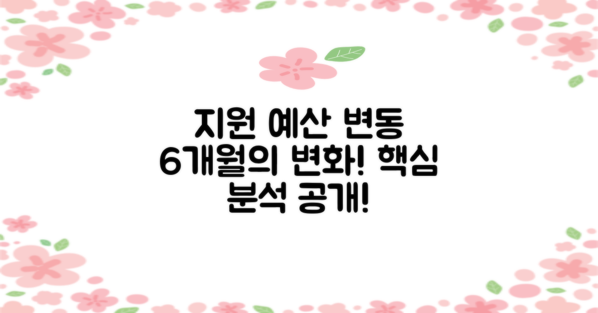 6개월 간 지원 예산 변동