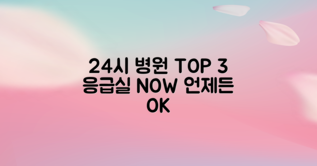 24시간 운영 병원 3곳